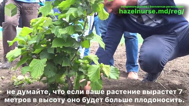 Eveniment: "Demonstrarea modelului de business al producției de alune în Moldova!" смотреть онлайн