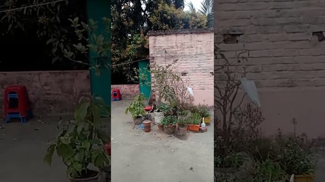 #Participial Adjectives смотреть онлайн