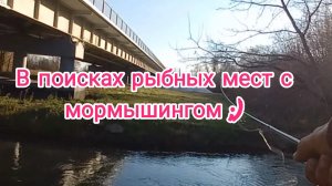 В поисках рыбных мест с мормышингом . Рыбалка 2024 . Рыбалка с приключениями . Рыбалка на мормышинг