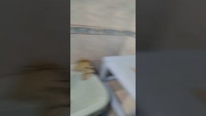 удаление накипи из водонагревателя газовой колонки в домашних условиях.