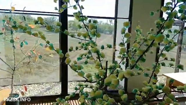 Сельская библиотека на севере Казахстана: село Советское