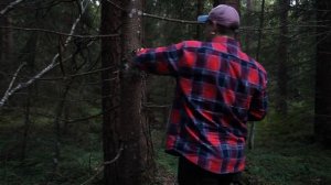 Фотоловушка. Поиск и подготовка места для установки.