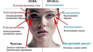 Движения глаз, правда или ложь .Как по зрачкам определить, говорят нам правду или врут. НЛП глаза.