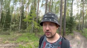 Майник. Рассказ о растении в лесу