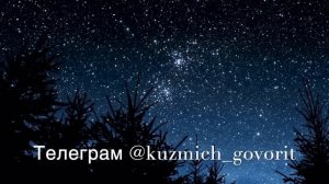 #загоночки Отрывки из беседы онлайн. Наталья Кузьмич
