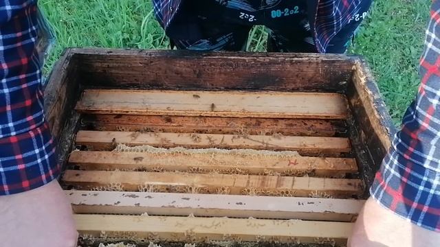 Начало сезона 2023г смотреть онлайн