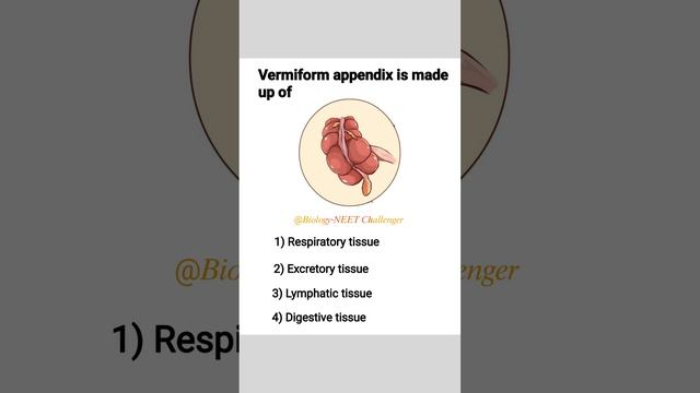 digestion and absorption questions and answer important question for neet biology
