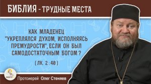 Как "младенец укреплялся духом исполняясь премудрости", если Он был самодостаточным Богом?  Стеняев