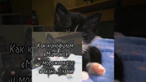 mzlff-человейники (speed up) (+текст)