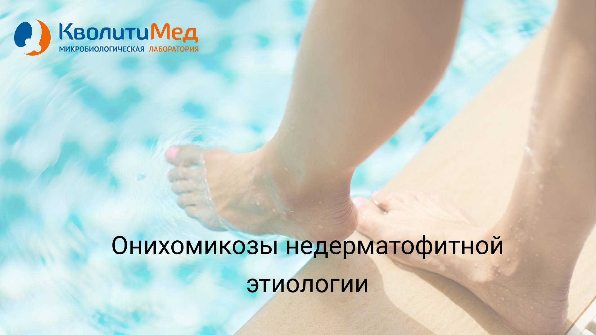 Вебинар 