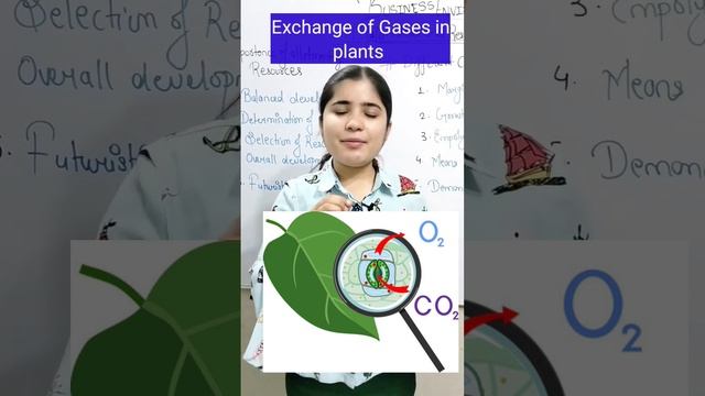 Exchange of Gases in Plants leaves class 10 #scienceclass10ncert #class10 #lifeprocesses #viralshor