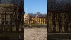 Белла Ахмадулина "Замечаю, что жизнь непрочна"...  #поэты20века