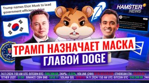 Политическая месть? Генеральный директор Polymarket под прицелом ⚡️ Hamster News