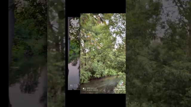 Природа в Московской области.