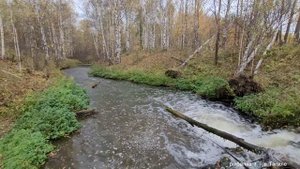 Осенний карп рыбалка на Катабке с супругой , 2-х килограммовый сорвался карп ,эмоций и только