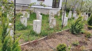 КРЕПКИЕ И НАДЕЖНЫЕ ОПОРЫ ДЛЯ ПЛЕТИСТЫХ РОЗ | Сделали опоры плетистым розам из металла