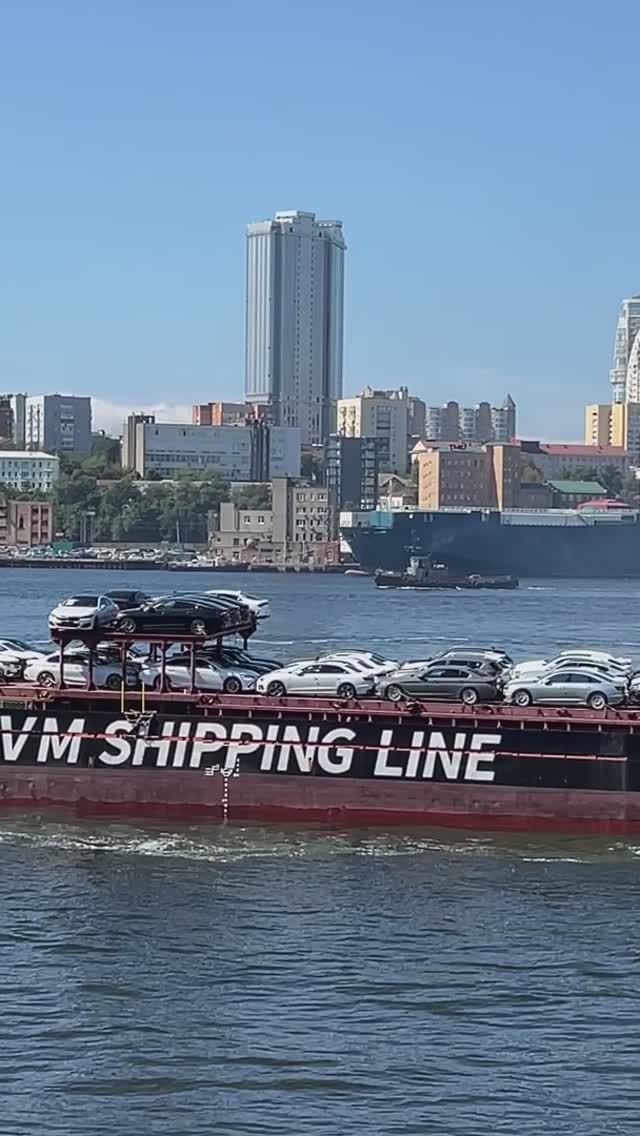 Прибытие 🚢 🚘 #авто#автоподбор#море#shorts Прибытие 🚢🚘 #авто#море#автоподбор#shorts смотреть онлайн