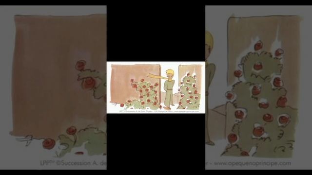 Jardim de Rosas 🌹 смотреть онлайн