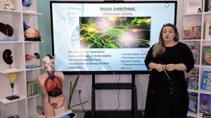 Биология 7 класс.  Ткани  Органы  Системы органов