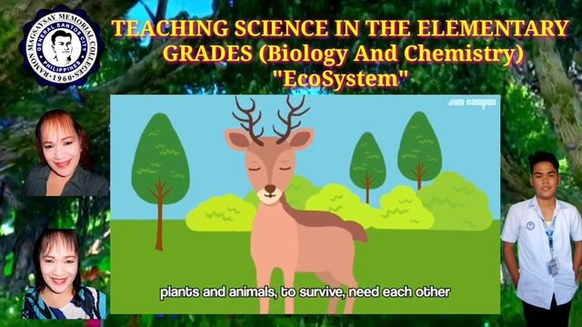 TEACHING DEMO (Teaching Science in the Elementary Grade"Biology or Chemistry") смотреть онлайн