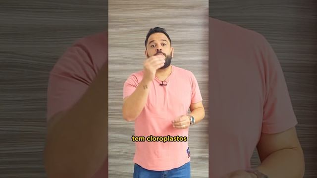 CÉLULA ANIMAL x CÉLULA VEGETAL #biologia смотреть онлайн