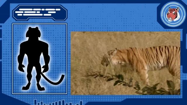 5-2 Братья Кратт - Храм тигров / Wild Kratts - Temple of Tigers смотреть онлайн