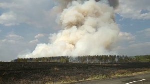 Лесной пожар. Оренбургская область.