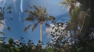 Слиптрек от Дмитрия Домбровского. Визуализация