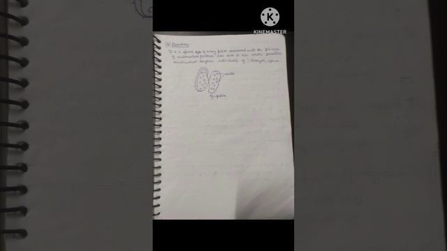 Reproduction in protozoa ( asexual and sexual reproduction) смотреть онлайн