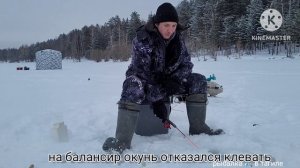 рыбалка на Леневке по окуню 2023