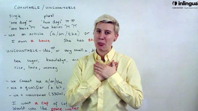 Countable and uncountable nouns - English Lessons with inlingua Vancouver