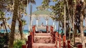 Sol Palmeras 4* - Сол Палмерас - Куба, Варадеро | обзор отеля, территория, отзывы