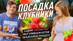 Посадка клубники, помогаем друг-другу! Семейное время #diy #деревня #жизньвдеревне #своимируками