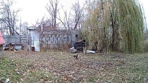 обрыв стального троса  лебедки