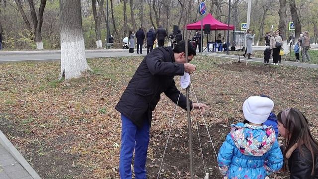 Липовую аллею из 37 именных деревьев в рамках проекта «Наше дерево» высадили в Армавире