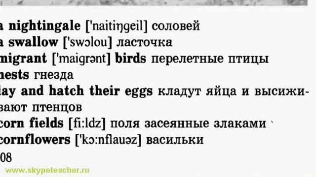изучение английского разговорного языка онлайн 4 смотреть онлайн