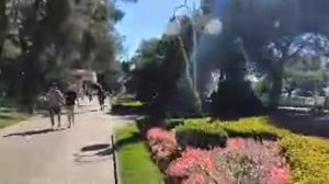 Природа Времени. Реальности 2024-25