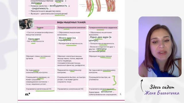 ПЕРВЫЙ ОТКРЫТЫЙ УРОК В ЛЕТНЕЙ ШКОЛЕ || Женя Биологичка ЕГЭLAND смотреть онлайн