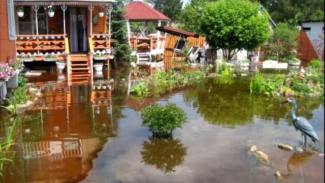 Какие деревья хорошо осушают грунт и помогут участку не утонуть по весне смотреть онлайн