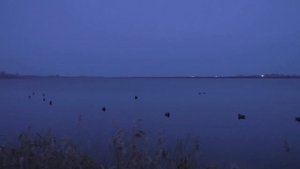 Cборник выстрелов с охоты на утку - MIX-1