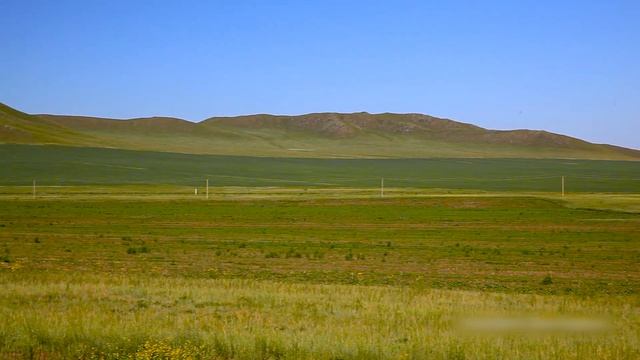 5 вопросов про жару и окружающую природу смотреть онлайн