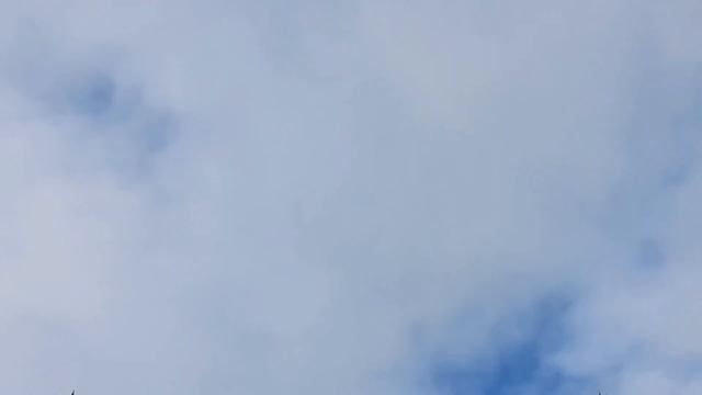 № 2276 09 06 2022 Вороны насторожились смотреть онлайн