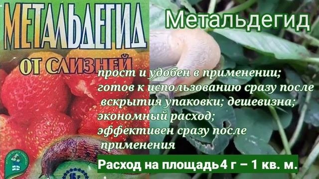 ТОП-8. Химические средства от слизней.