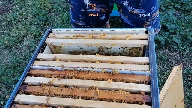 Кордован. Итог смотреть онлайн