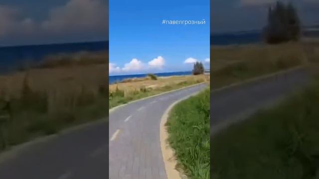 прогулка на море #павелгрозный #shorts #short #туризм #морелазурное #море ##калининград