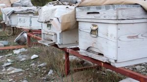 Заброшенная пасека в Анталье