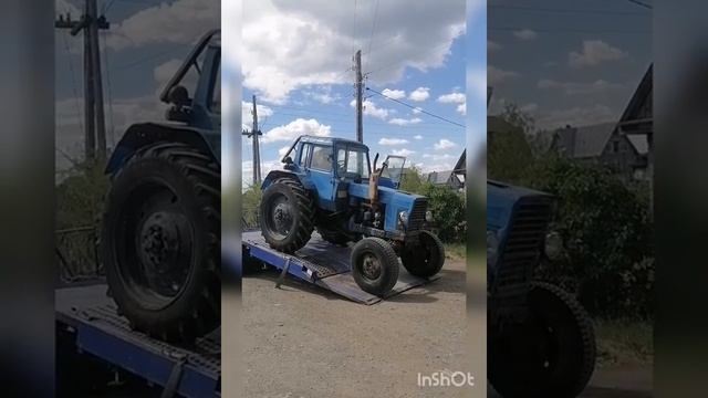 Летняя валка леса смотреть онлайн