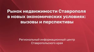 Рынок недвижимости Ставрополя в новых экономических условиях: вызовы и перспективы