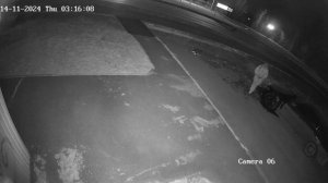 Поджёг Мерседеса