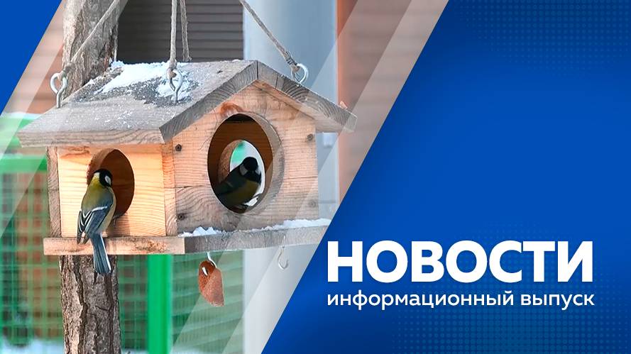 Новости от 13.11.2024г.